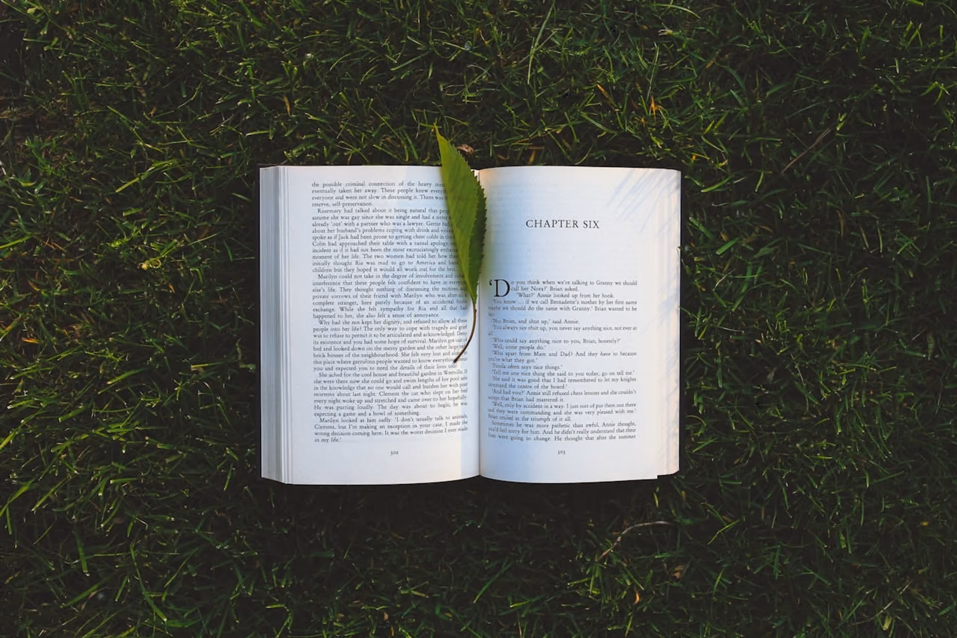Cos'è un paragrafo - Foto di libro sull'erba