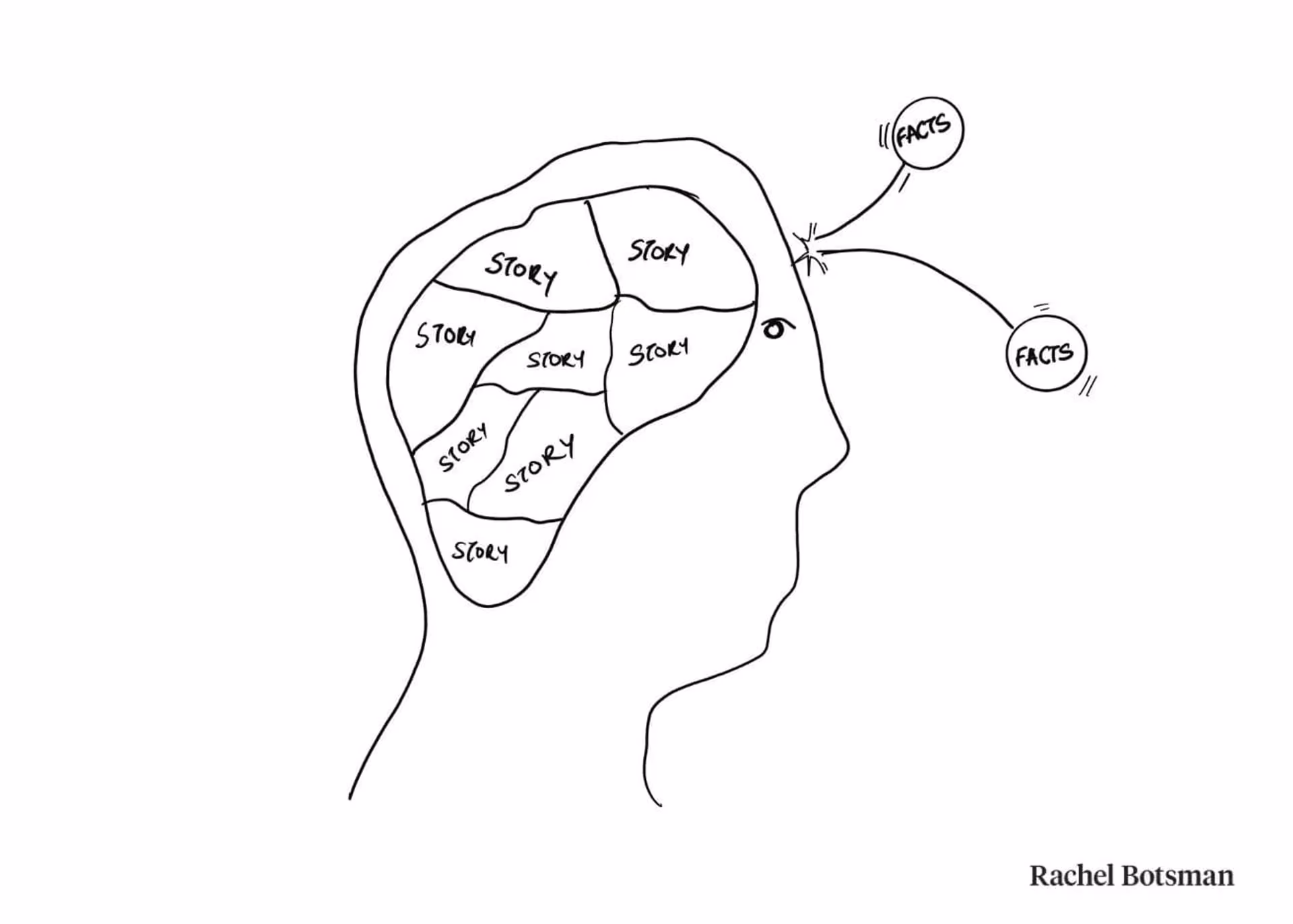 Cos'è la neuronarratologia - Illustrazione cervello e narrativa