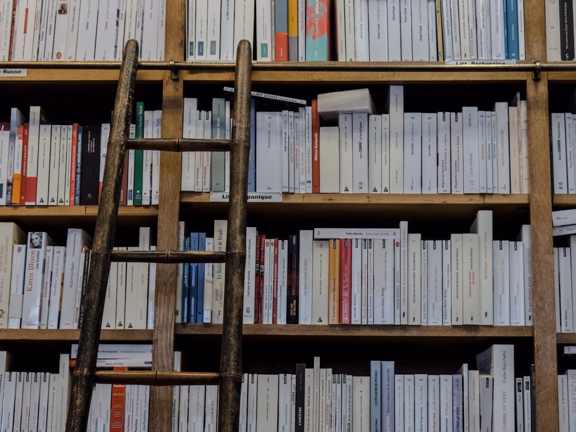 I migliori libri di scrittura creativa - Foto di una libreria